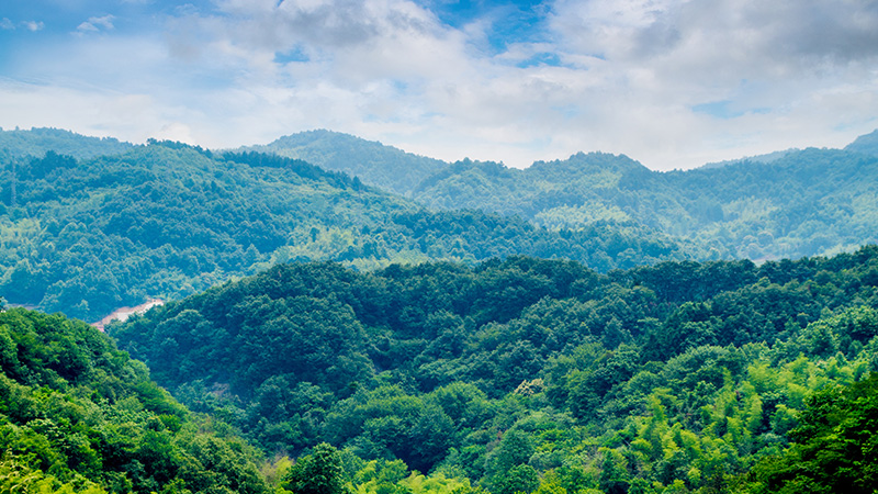 環(huán)境保護(hù)